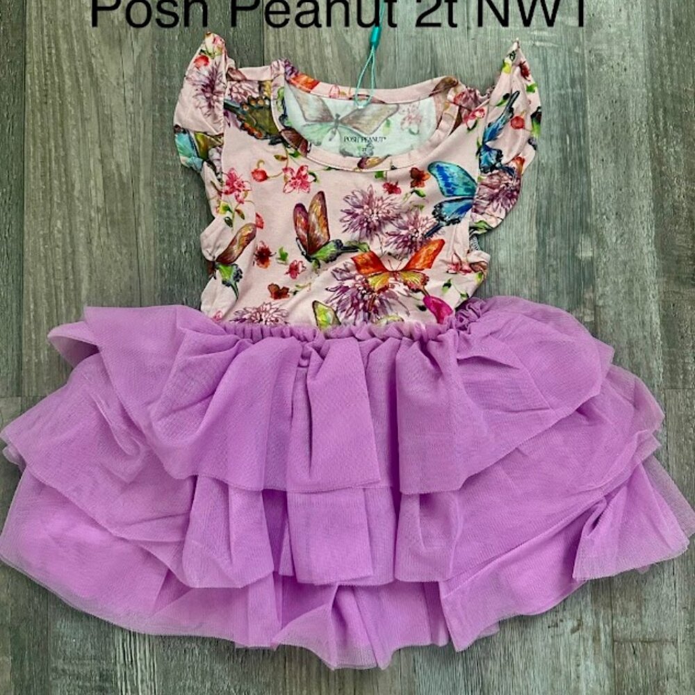 Posh Peanut Watercolor butterfly tulle dress 2t
